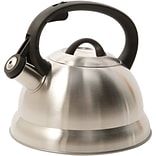 Mr. Coffee Flintshire  1.75-Quart Whistling Tea Kettle Stainless Steel (91407.02)