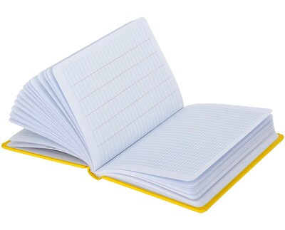 AdirPro Hardcover Notebook, Surveyor Transit Field Notepad, 6/Pack (T648X4-6)