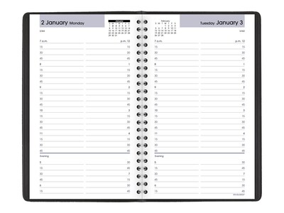 2023 AT-A-GLANCE DayMinder 5" x 8" Daily Appointment Book Planner, Black (G100-00-23)