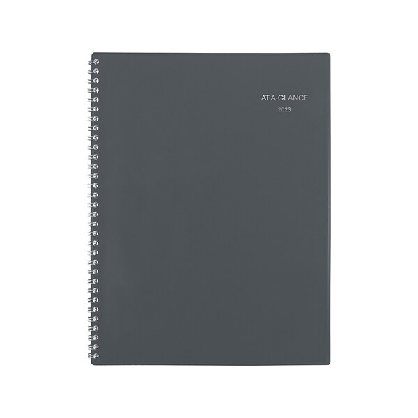 2023 AT-A-GLANCE DayMinder 8.5 x 11 Monthly Planner, Gray (GC470-07-23)