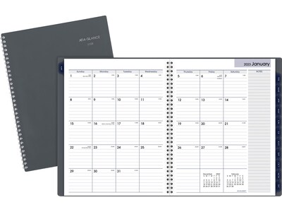 2023 AT-A-GLANCE DayMinder 8.5" x 11" Monthly Planner, Gray (GC470-07-23)