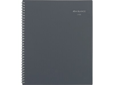 2023 AT-A-GLANCE DayMinder 8.5 x 11 Weekly & Monthly Appointment Book, Gray (GC520-07-23)