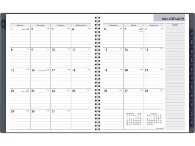 2023 AT-A-GLANCE DayMinder 8.5 x 11 Weekly & Monthly Appointment Book, Gray (GC520-07-23)