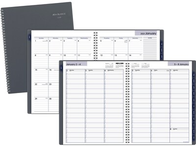 2023 AT-A-GLANCE DayMinder 8.5" x 11" Weekly & Monthly Appointment Book, Gray (GC520-07-23)