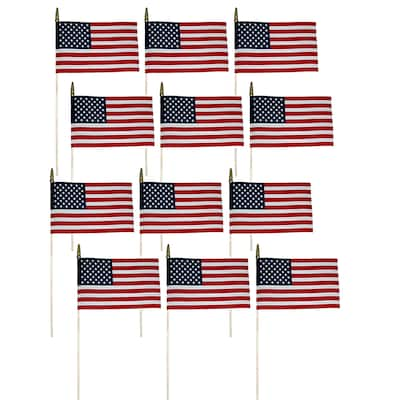 Annin 8 x 12 United States Flag, Pack of 12 (ANN041200-12)