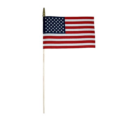 Annin 8" x 12" United States Flag, Pack of 12 (ANN041200-12)