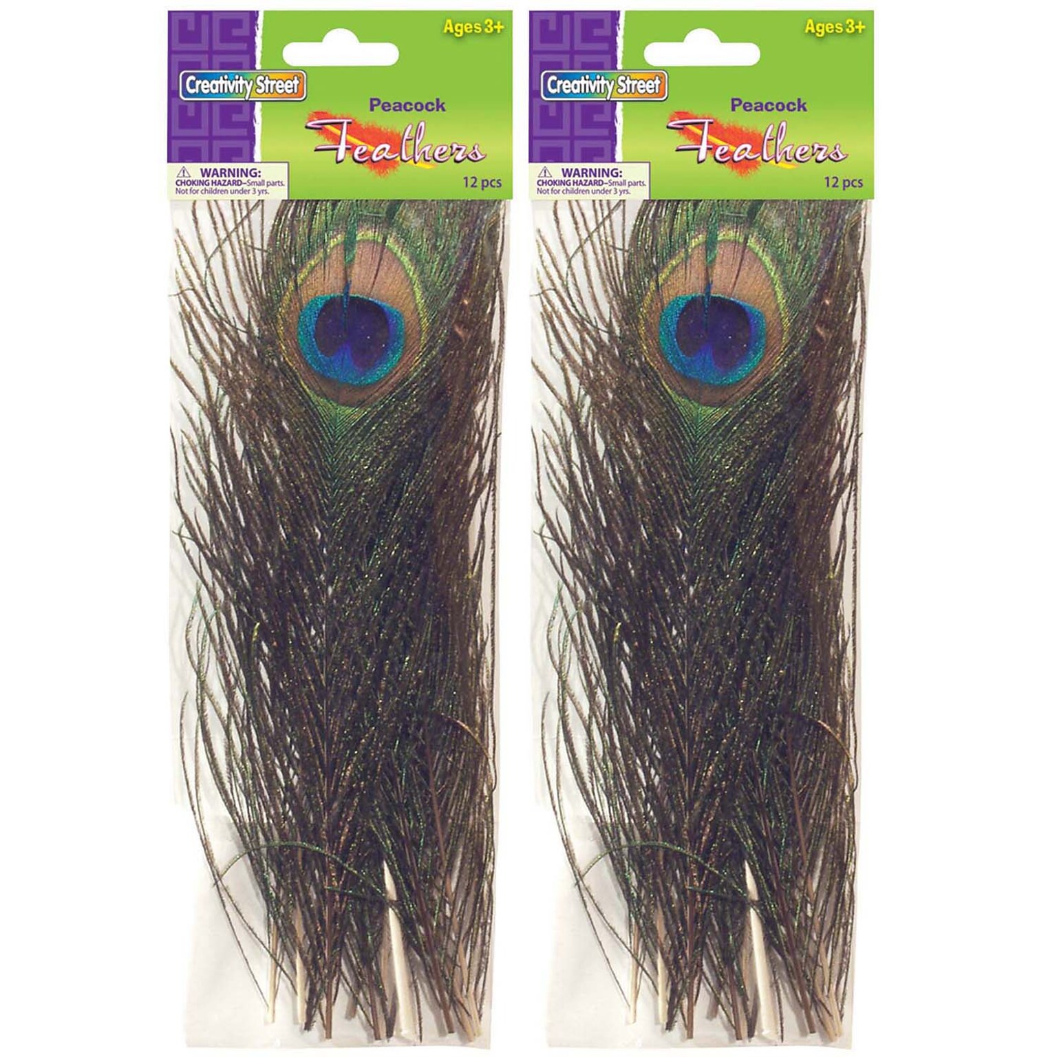 Creativity Street® Peacock Feathers, 10 to 11, 12 Per Pack, 2 Packs (CK-4515-2)