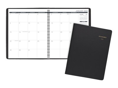 2023-2024 AT-A-GLANCE 9 x 11 Monthly Planner, Black (70-260-05-23)