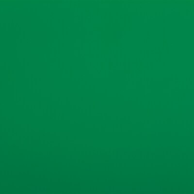 JAM Paper Wrapping Paper, 25 Sq. ft. x 30", Green, 2/Pack (165S25GRG)