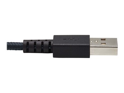 Tripp Lite 10' USB A to C Cable, Gray (U038-010-GY-MAX)