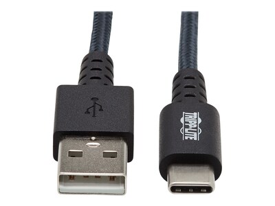 Tripp Lite 10' USB A to C Cable, Gray (U038-010-GY-MAX)