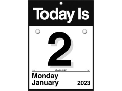 2023 AT-A-GLANCE Today Is 6.63 x 9.13 Daily Wall Calendar, Black/White (K1-00-23)