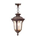 Livex Lighting 1-Light Imperial Bronze Outdoor Hanging Pendant (7654-58)