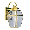 Livex Lighting 1-Light Polished Brass Outdoor Lantern (2181-02)