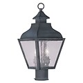 Livex Lighting 2-Light Charcoal Outdoor Post Lantern with Seeded Glass (2452-61)