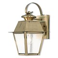 Livex Lighting 1-Light Antique Brass Outdoor Wall Lantern with Seeded Glass (2162-01)