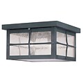 Livex Lighting 3-Light Hammered Charcoal Finish Outdoor Mount with Seeded Glass (2689-61)