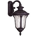 Livex Lighting 1-Light Bronze Outdoor Wall Lantern-Light (7853-07)
