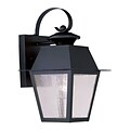 Livex Lighting 1-Light Black Outdoor Wall Lantern with Seeded Glass (2162-04)