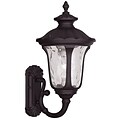 Livex Lighting 1-Light Bronze Outdoor Wall Lantern-Light (7852-07)