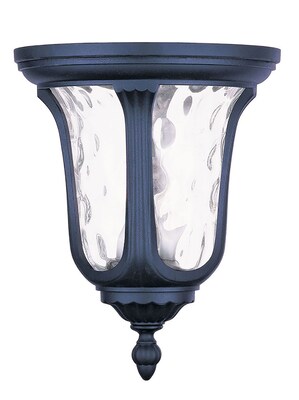 Livex Lighting 2-Light Black Outdoor Mount with Clear Water Glass (7861-04)