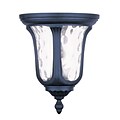 Livex Lighting 2-Light Black Outdoor Mount with Clear Water Glass (7861-04)