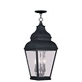 Livex Lighting 3-Light Vintage Pewter Outdoor Pendant with Clear Water Glass (2610-04)