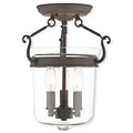 Livex Lighting 3-Light Bronze Mount with Hand Crafted Clear Glass (50481-07)