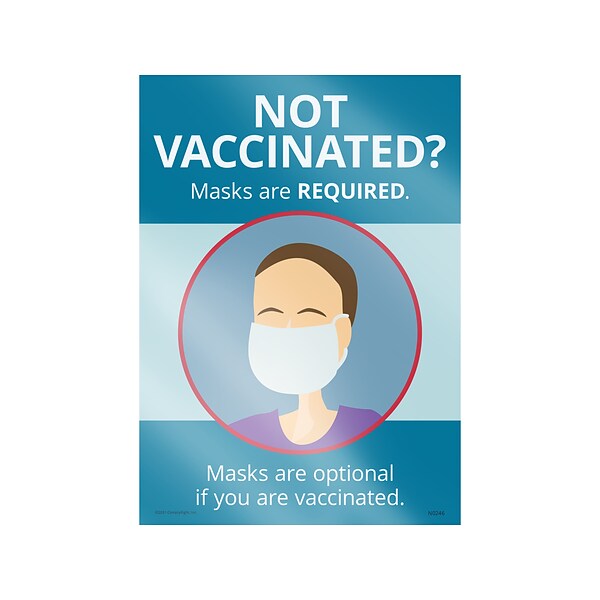 ComplyRight Mask Requirements Window Cling, 10 x 14, English (N0246)