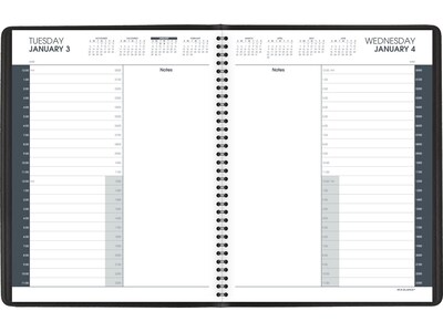 2023 AT-A-GLANCE 8.5 x 11.4 Daily Appointment Book Planner, Black (70-214-05-23)