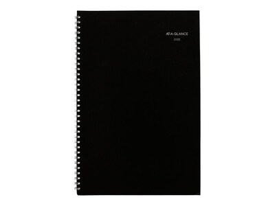 2023 AT-A-GLANCE DayMinder 8 x 12 Monthly Planner, Black (SK2-00-23)