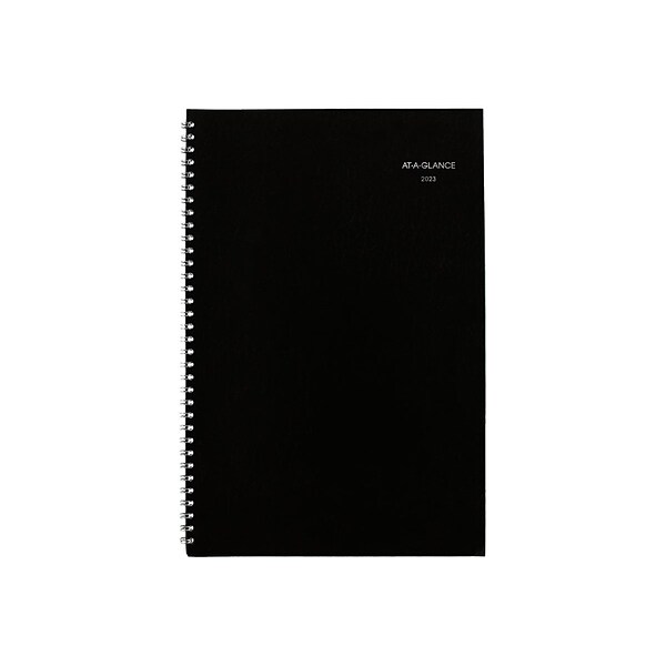 2023 AT-A-GLANCE DayMinder 8 x 12 Monthly Planner, Black (SK2-00-23)