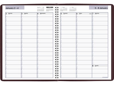 2023 AT-A-GLANCE DayMinder 8 x 11 Weekly Appointment Book Planner, Burgundy (G520-14-23)
