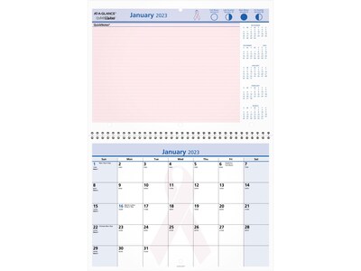 2023 AT-A-GLANCE QuickNotes City Of Hope 11 x 8 Monthly Wall Calendar, Pink/White/Blue (PMPN50-28-23)