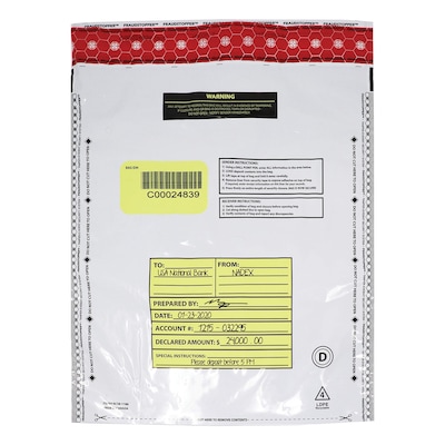 Nadex Coins Opaque Tamper-Evident Cash and Coin Bank Deposit Bags, 12" x 16", 50 Pack (NCC1-1122)