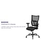 Flash Furniture HERCULES Series Ergonomic Mesh Swivel Big & Tall Executive Office Chair, Black (WL5029SYGA)