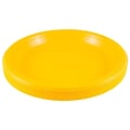 JAM PAPER Round Plastic Party Plates, Large, 10 1/4 inch, Yellow, 20/Pack