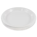 JAM PAPER Round Plastic Party Plates, Large, 10 1/4 inch, White, 20/Pack