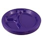 JAM PAPER Plastic 3 Compartment Divided Plates, Large, 10 1/4 inch, Purple, 20/Pack