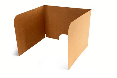 Classroom Products 19 Tall Computer Privacy Shield, Kraft, 10/Box (1910 KR)