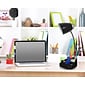 Limelights Incandescent Desk Lamp with USB Port, Black (LD1056-BLK)