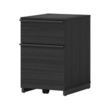 Thomasville Furniture Latimer 2-Drawer Vertical File Cabinet, Pedestal, Burnt Ash, 20.8D (SPLS-LADF