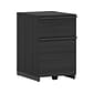 Thomasville Furniture Latimer 2-Drawer Vertical File Cabinet, Pedestal, Burnt Ash, 20.8"D (SPLS-LADF-TV)