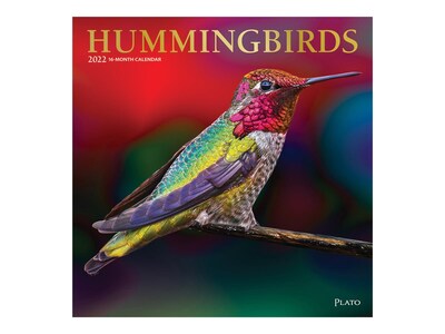 2022 Plato Hummingbirds 12 x 12 Monthly Wall Calendar (9781975446130)