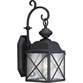 Satco Incandescent 1-Light Textured Black Wall Lantern with Clear Seed Glass Shade (STL-SAT656217)