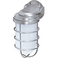 Satco Incandescent 1-Light Metal Shadelic Silver Wall Lantern with Frosted Glass Shade (STL-SAT766220)
