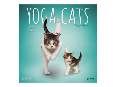 2022 Plato Yoga Cats Together 12 x 12 Monthly Wall Calendar (9781975446291)