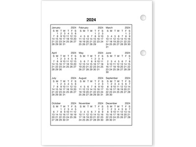 2023 AT-A-GLANCE 3.75 x 3 Daily Loose-Leaf Desk Calendar Refill, White/Black (E919-50-23)