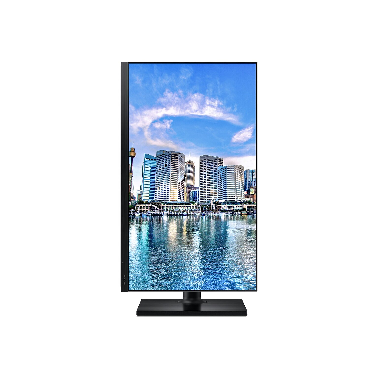 Samsung 24 LED Monitor, Black (F24T450FZN)