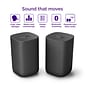 Roku 9020R2 Wireless Bluetooth & Wi-Fi Speakers, Black